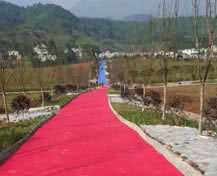 華潤三九藥廠四川雅安藥材種植基地